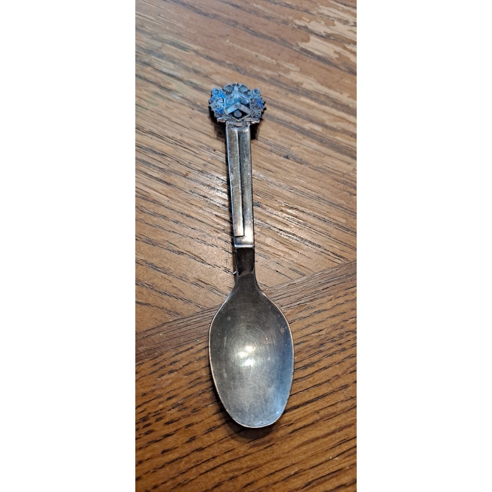 Carpe Diem Small Collectible Silver Plated Spoon